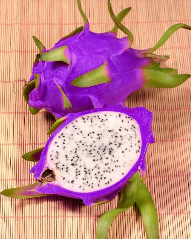 Blue Dragon Fruit