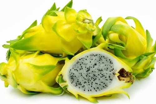 Amazon yellow dragon fruit
